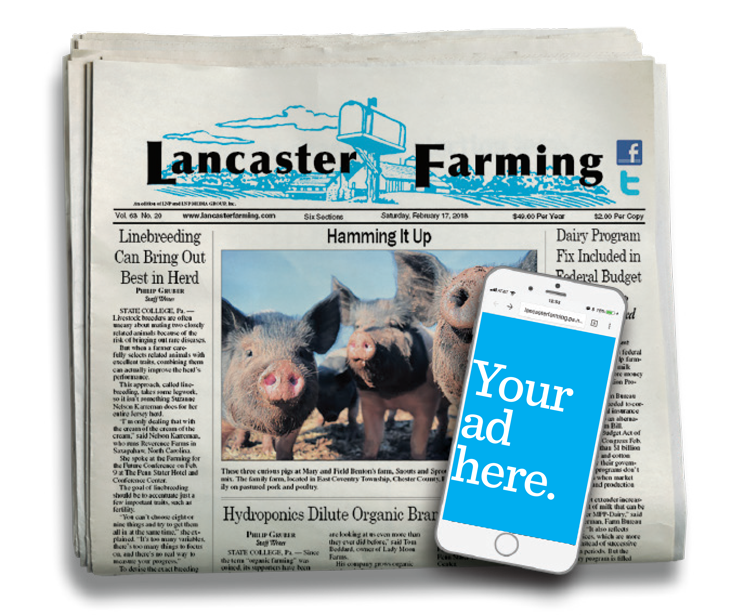 Lancaster Farming Digital Advertising